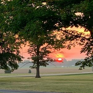 Meet your Posher, Luke